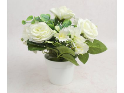 kwiat roza w bialej doniczce 111873