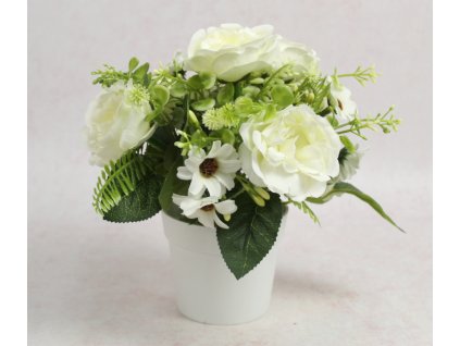 kwiat piwonia w bialej donic 111876