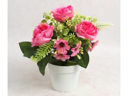 kwiat piwonia w bialej donic 111875