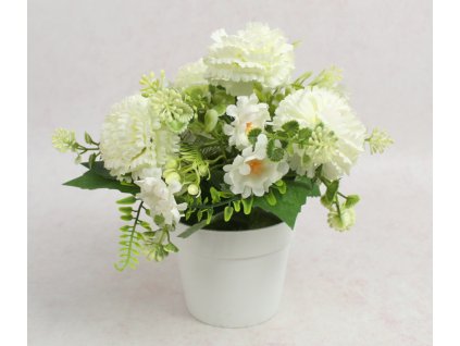 kwiat chryzantema w bialej d 111872