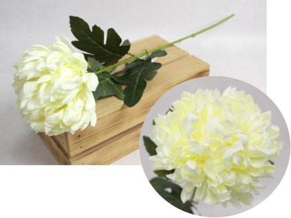 kwiat chryzantema wys 63 cm 111571