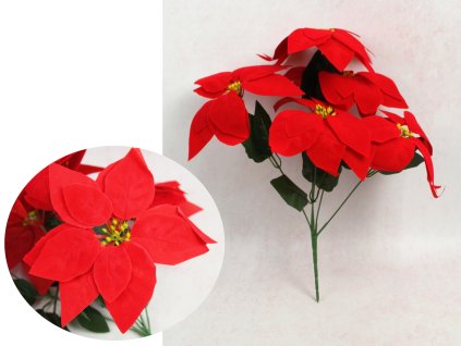 bukiet gwiazda betlejemska p 112193