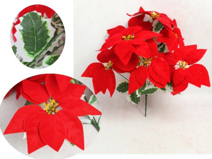 bukiet gwiazda betlejemska p 112338