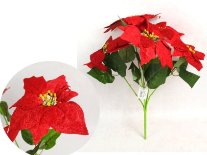 bukiet gwiazda betlejemska p 112185