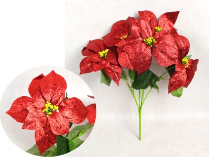 bukiet gwiazda betlejemska p 112187