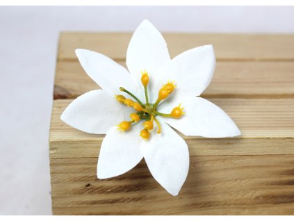 glowka kwiatowa gwiazda betl 112332