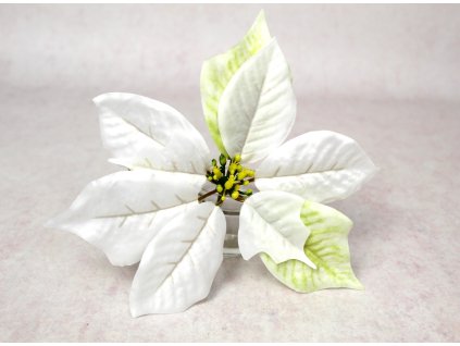 glowka kwiatowa gwiazda betl 112327