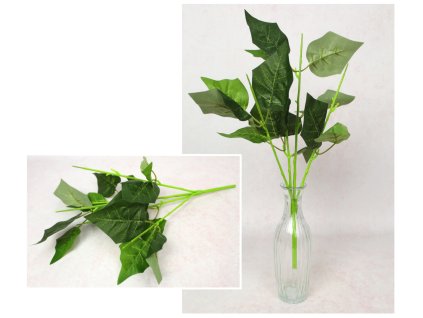 lodyga poinsecja grubsza 5 r 112341