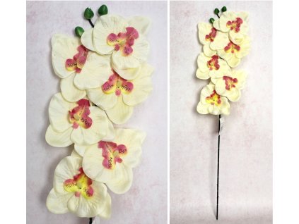 kwiat storczyk wys 65 cm 6 k 112796