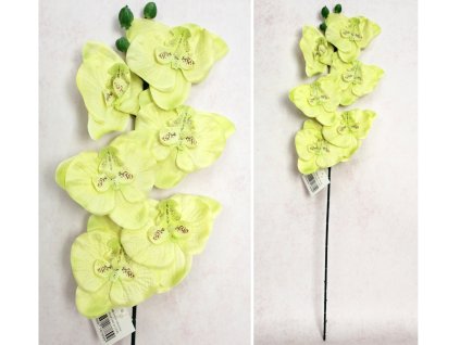 kwiat storczyk wys 65 cm 6 k 112794