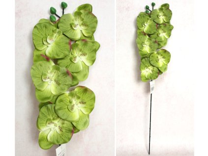 kwiat storczyk wys 65 cm 6 k 112795