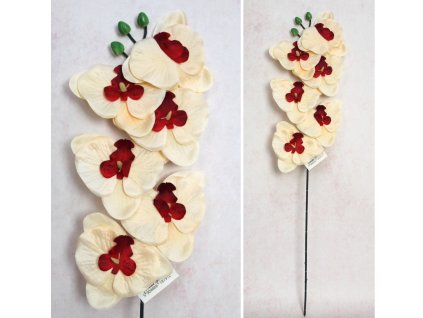 kwiat storczyk wys 65 cm 6 k 112797