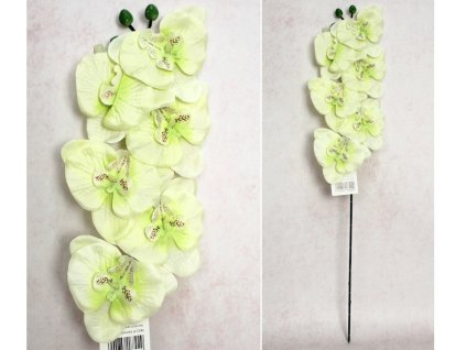 kwiat storczyk wys 65 cm 6 k 112793