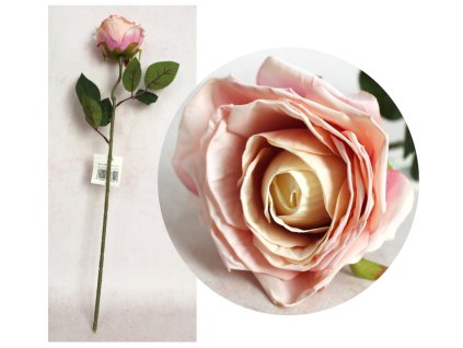 kwiat pojedynczy roza wys 51 112808