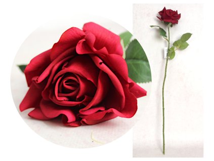 kwiat roza pojedyncza real t 112810