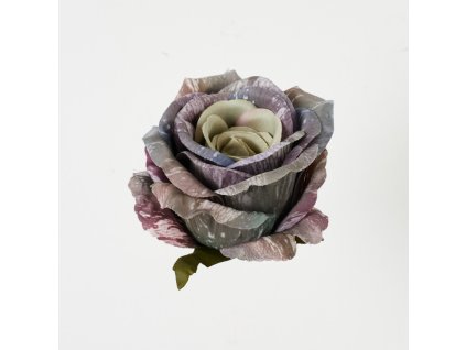 roza glowka srednica 9 cm wy 112005