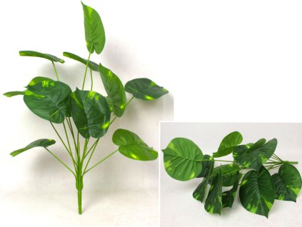 bukiet lisci monstera wys 66 112603