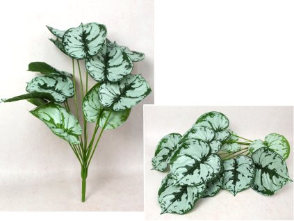 bukiet lisci monstera wys 66 112600