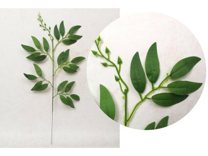 lisc 1 ramienny ruskus zielo 112606