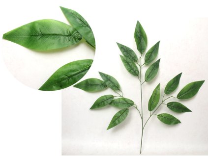 lisc 3 ramienny mango zielon 112609