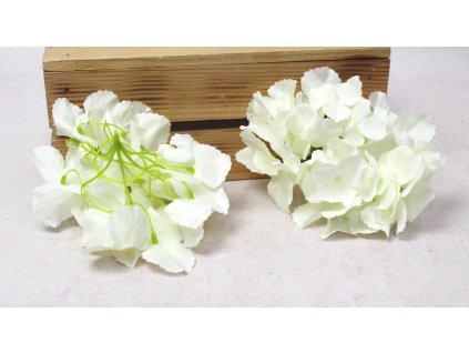 glowka hortensja 15 cm smiet 112596