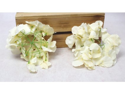 glowka hortensja 15 cm brzos 112589