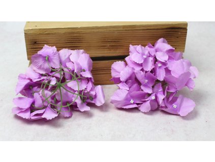 glowka hortensja 15 cm fiole 112597