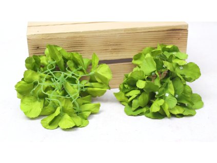 glowka hortensja 15 cm zielo 112594