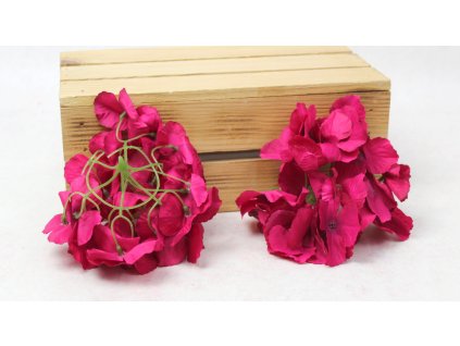 glowka hortensja 15 cm ciemn 112590