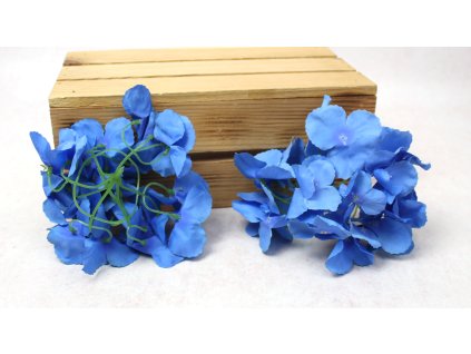 glowka hortensja 15 cm niebi 112591