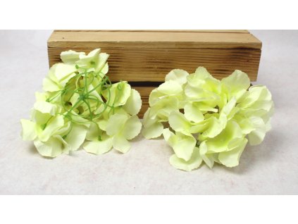 glowka hortensja 15 cm cytry 112592