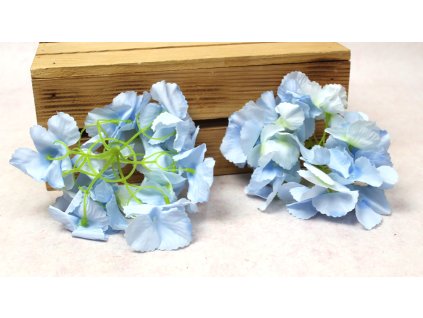 glowka hortensja 15 cm bleki 112595