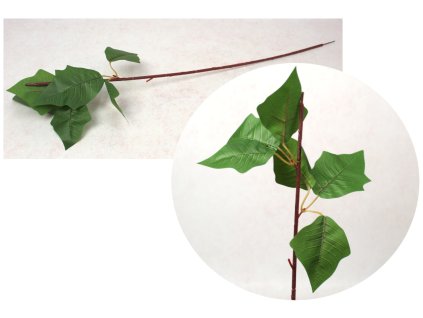 lodyga korpus do gwiazdy bet 113484