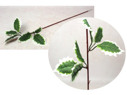 lodyga korpus do gwiazdy bet 113483