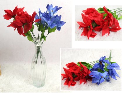 bukiet gwiazda betlejemska w 113101