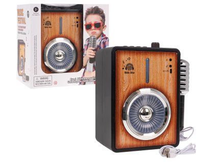 Zesilovač s funkcí Bluetooth + mikrofon