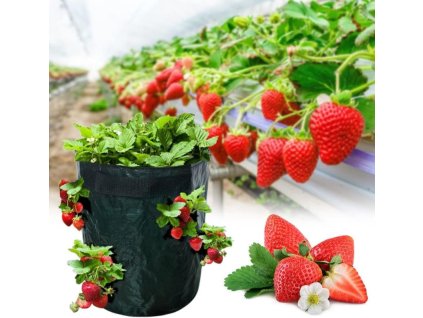 OIN4611nv7nB5ML. AC SL1024