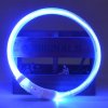 0 variant rojeco led usb dog collar rechargeable led night safety pet dog collars tube flashing glow glowing luminous night dog leash lead