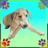 original f7a60786ea7d1fa349e3c49e14a62a9b