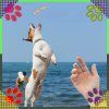 original cc35b21611f00d4b70d016ab55f39d58