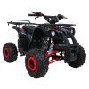 Čtyřkolka WILDPEAK 110cc červená