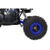 Čtyřkolka WILDPEAK 110cc modrá