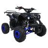 Čtyřkolka WILDPEAK 110cc modrá