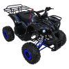 Čtyřkolka WILDPEAK 110cc modrá