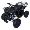Čtyřkolka WILDPEAK 110cc modrá