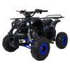Čtyřkolka WILDPEAK 110cc modrá