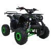 Společnost WILDPEAK 110cc Zelený