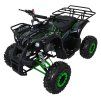 Společnost WILDPEAK 110cc Zelený