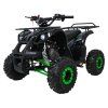 Společnost WILDPEAK 110cc Zelený