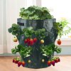 aKISMulti Mouth Grow Bag 5 7 10 Planting Bags Gallons Strawberry Tomato Growing Bag Reusable Gardens